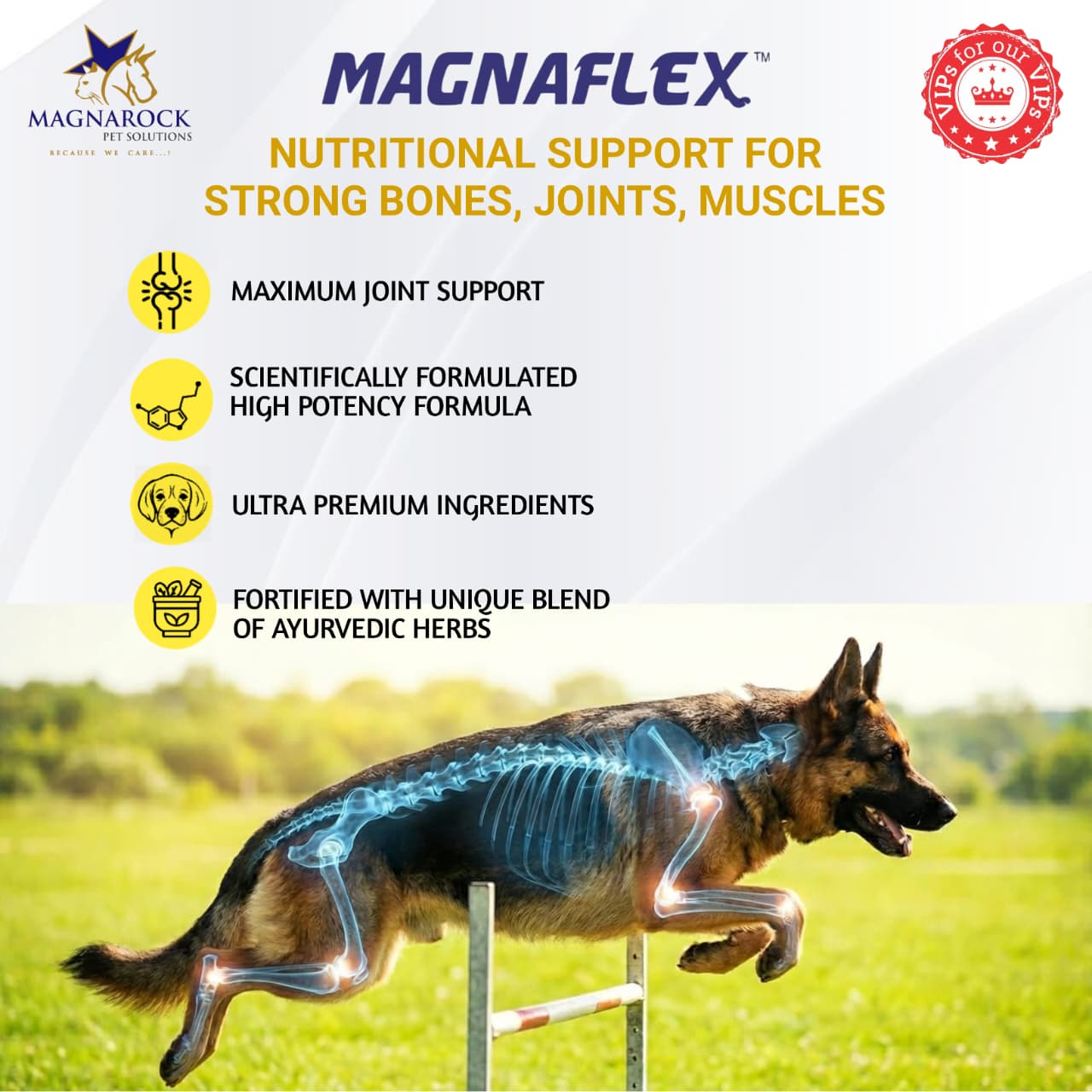 MagnaFlex