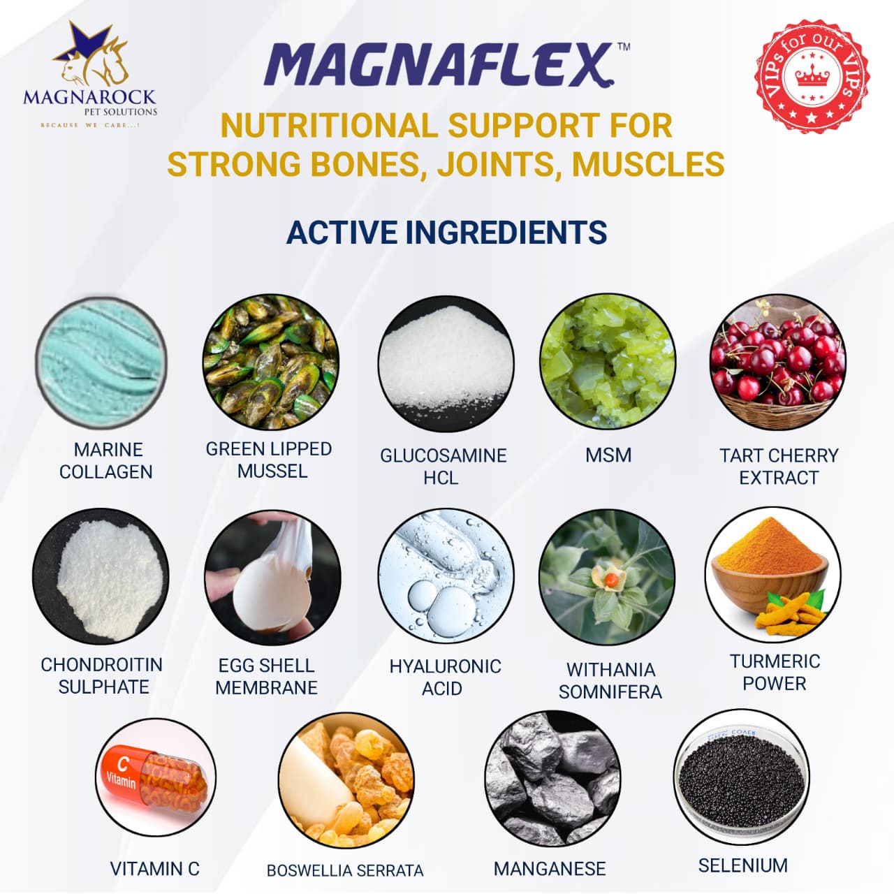 MagnaFlex