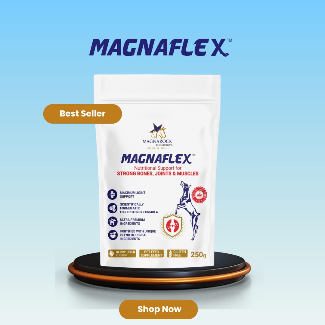 MagnaFlex